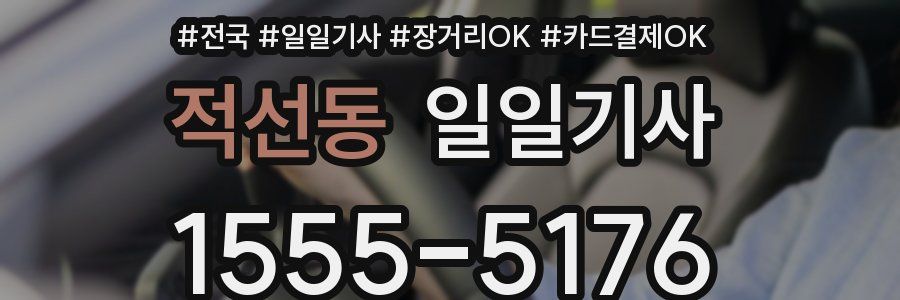 적선동 일일기사