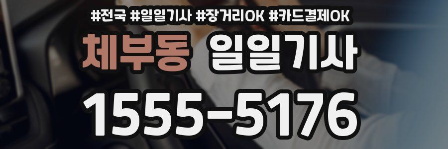 체부동 일일기사