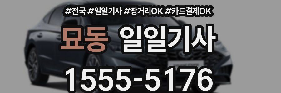 묘동 일일기사