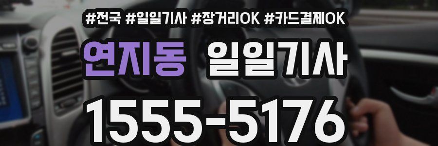 연지동 일일기사