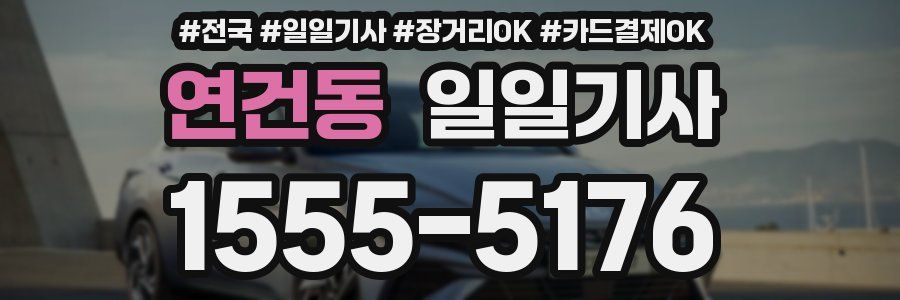 연건동 일일기사