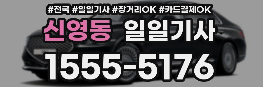 신영동 일일기사
