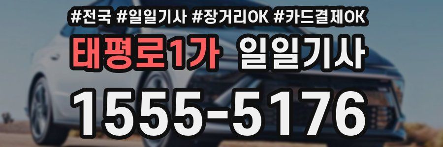 태평로1가 일일기사