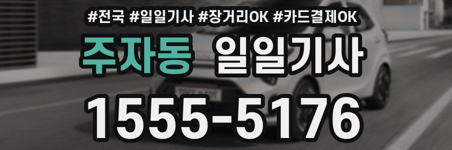 주자동 일일기사