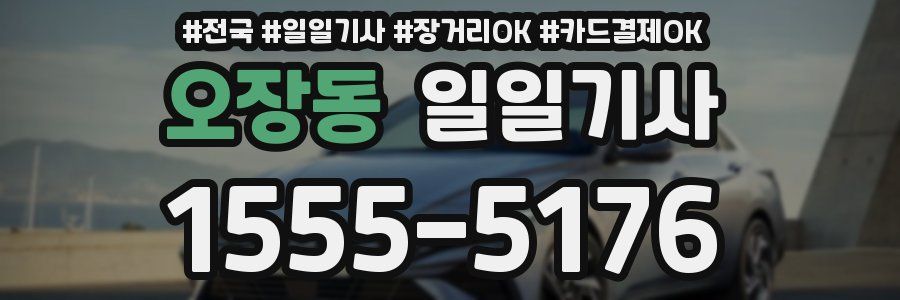 오장동 일일기사