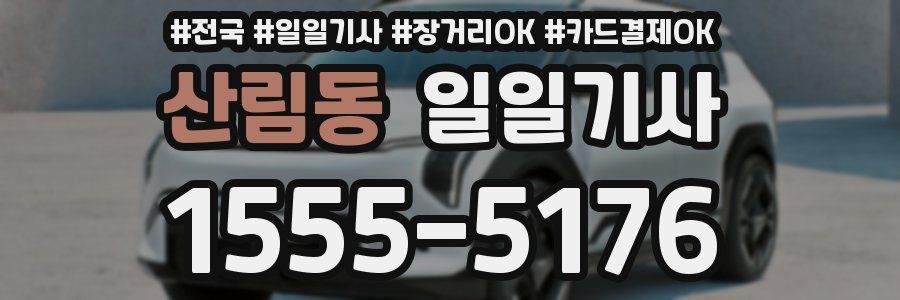 산림동 일일기사