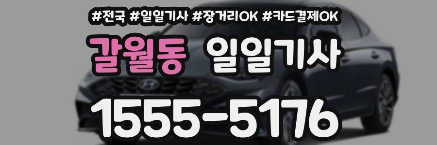 갈월동 일일기사