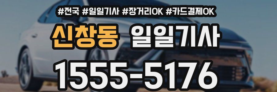 신창동 일일기사