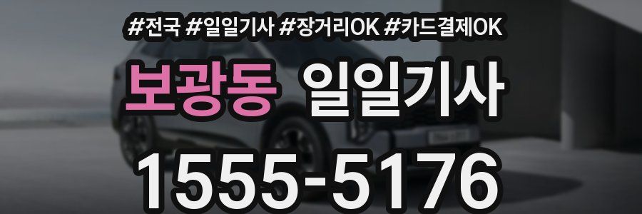 보광동 일일기사