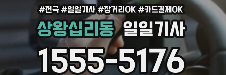 상왕십리동 일일기사