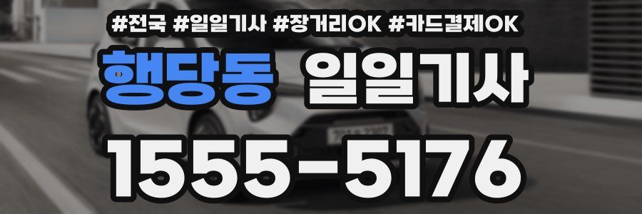 행당동 일일기사