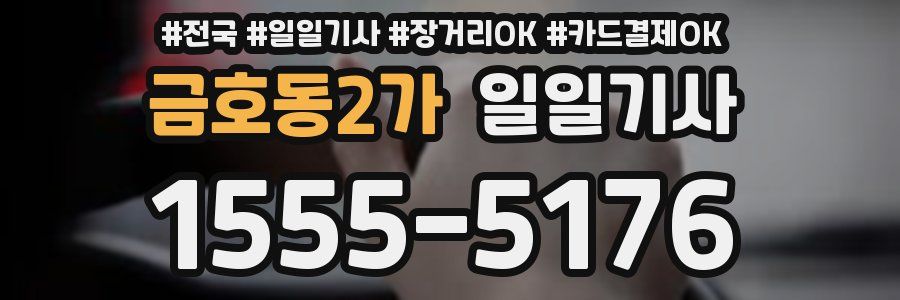 금호동2가 일일기사