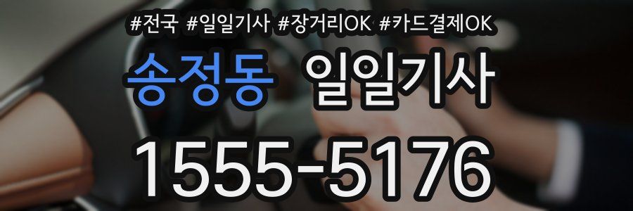 송정동 일일기사