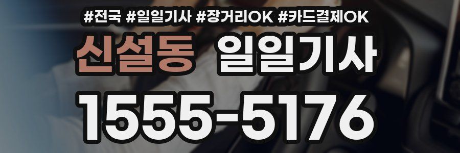신설동 일일기사