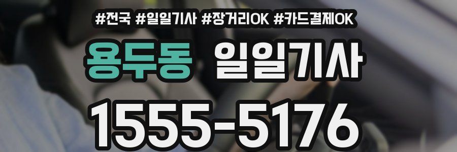 용두동 일일기사