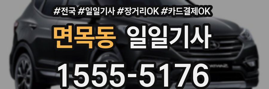 면목동 일일기사