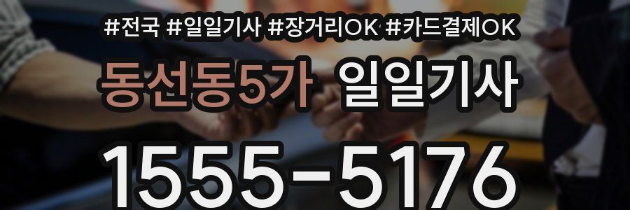 동선동5가 일일기사