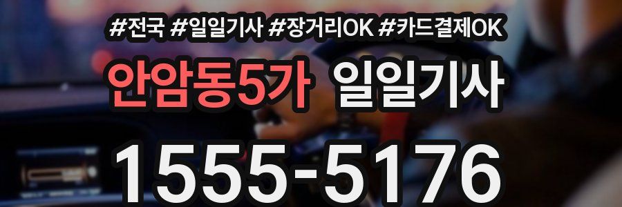 안암동5가 일일기사