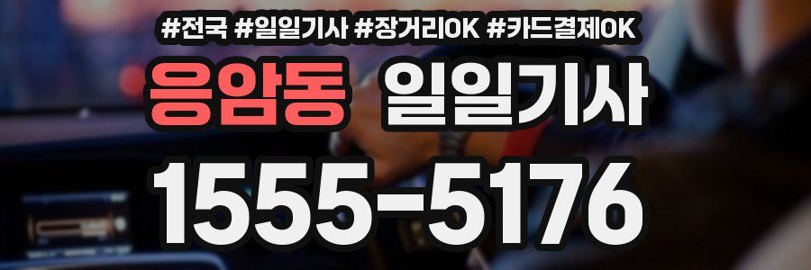 응암동 일일기사