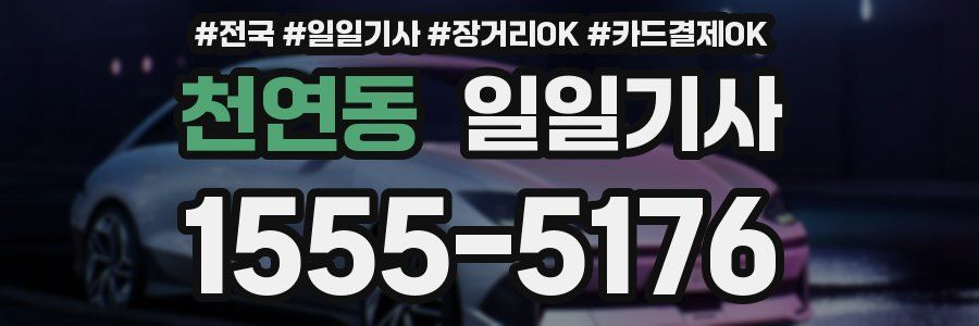 천연동 일일기사