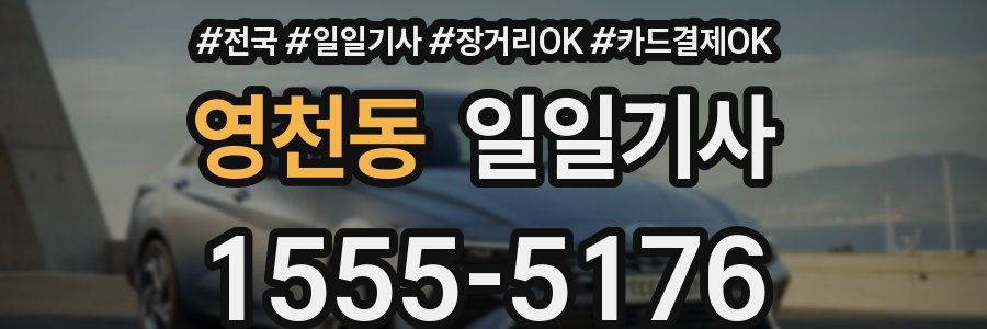 영천동 일일기사