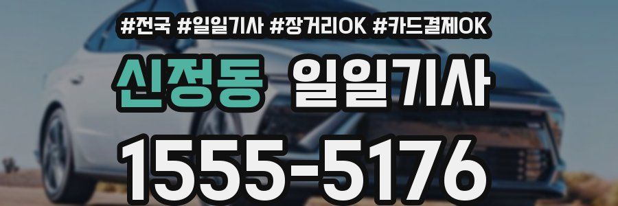 신정동 일일기사