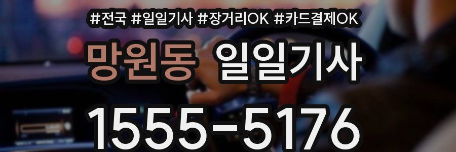 망원동 일일기사