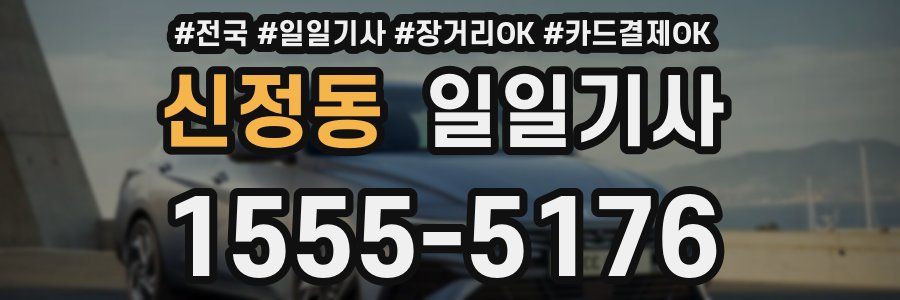 신정동 일일기사