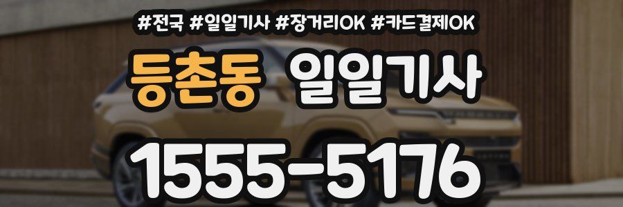 등촌동 일일기사