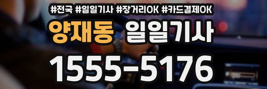 양재동 일일기사