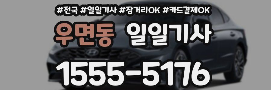 우면동 일일기사