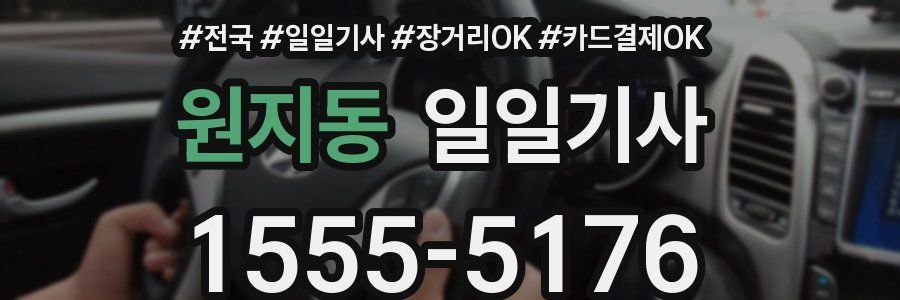 원지동 일일기사
