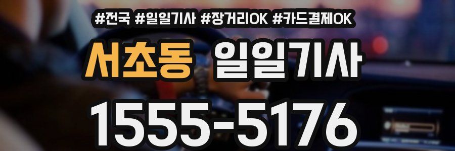 서초동 일일기사