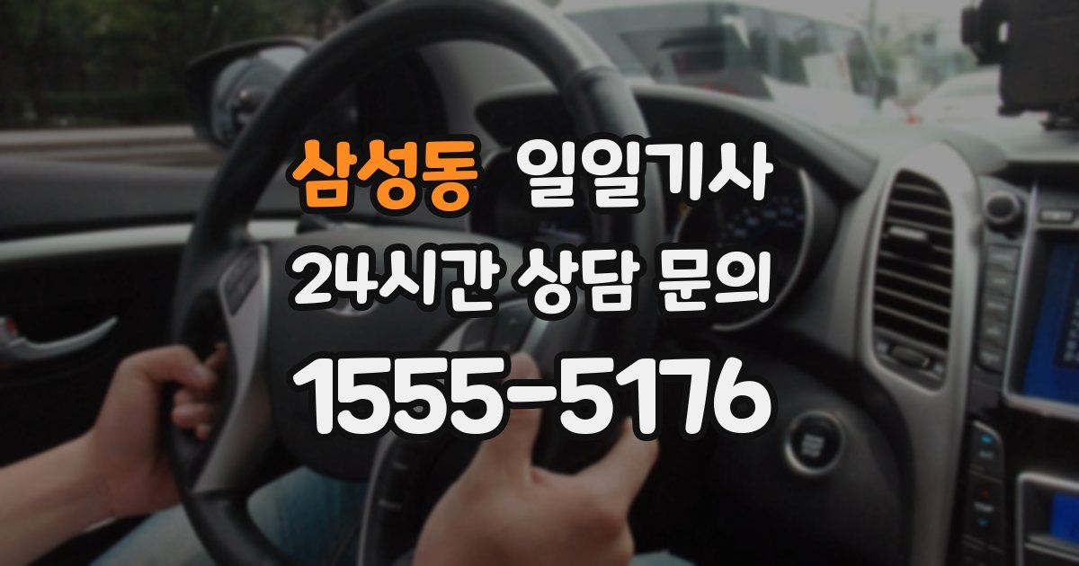 일일대리기사
