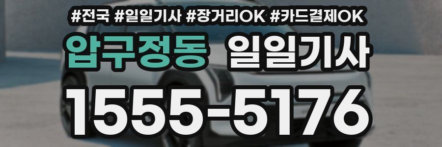 압구정동 일일기사