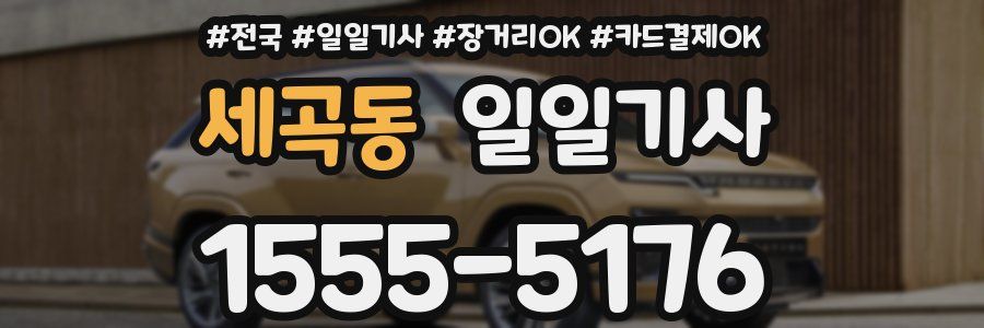 세곡동 일일기사