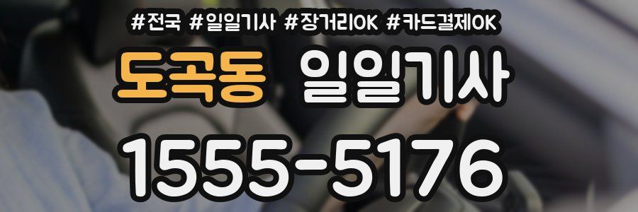 도곡동 일일기사