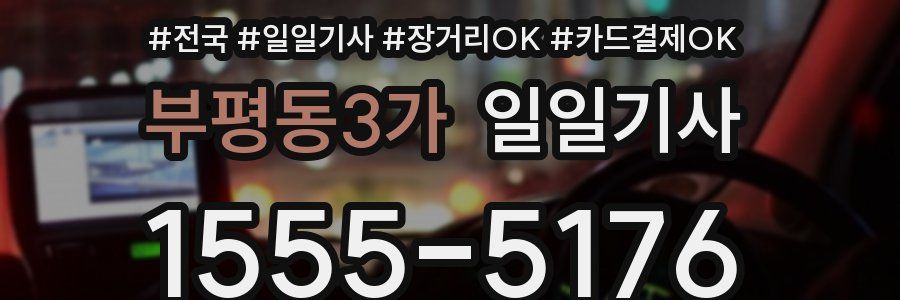 부평동3가 일일기사