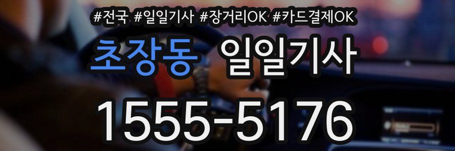 초장동 일일기사