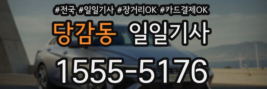 당감동 일일기사