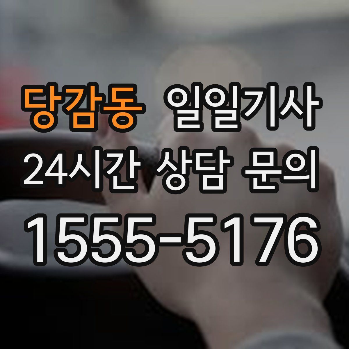 일일기사