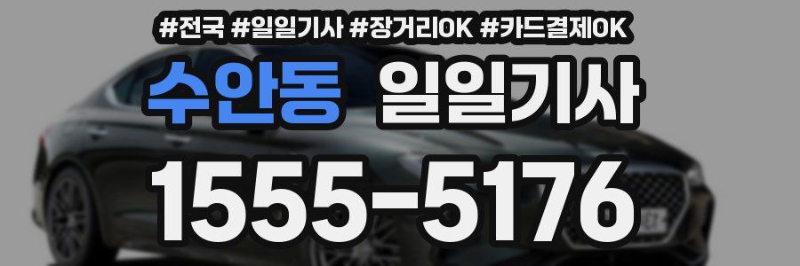 수안동 일일기사