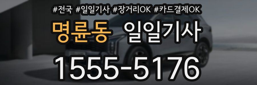명륜동 일일기사