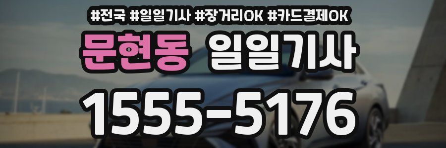 문현동 일일기사