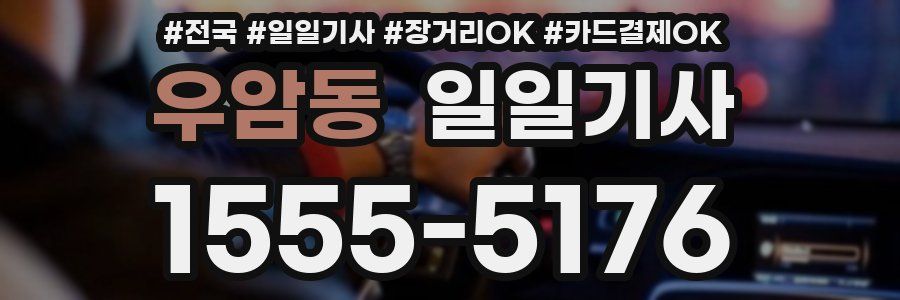 우암동 일일기사