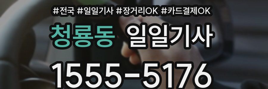 청룡동 일일기사