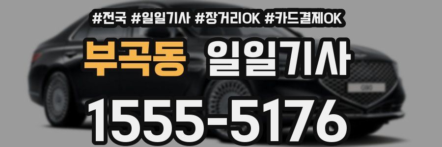 부곡동 일일기사