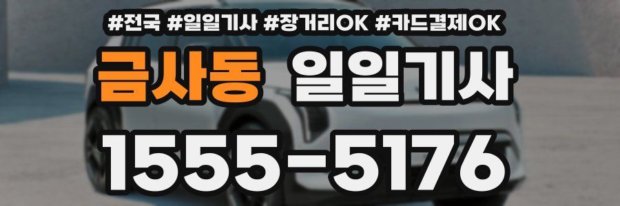 금사동 일일기사