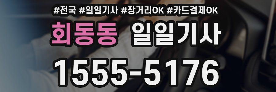 회동동 일일기사