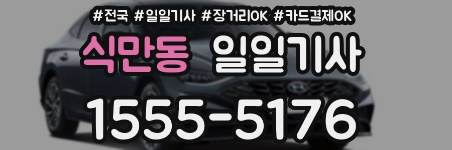 식만동 일일기사